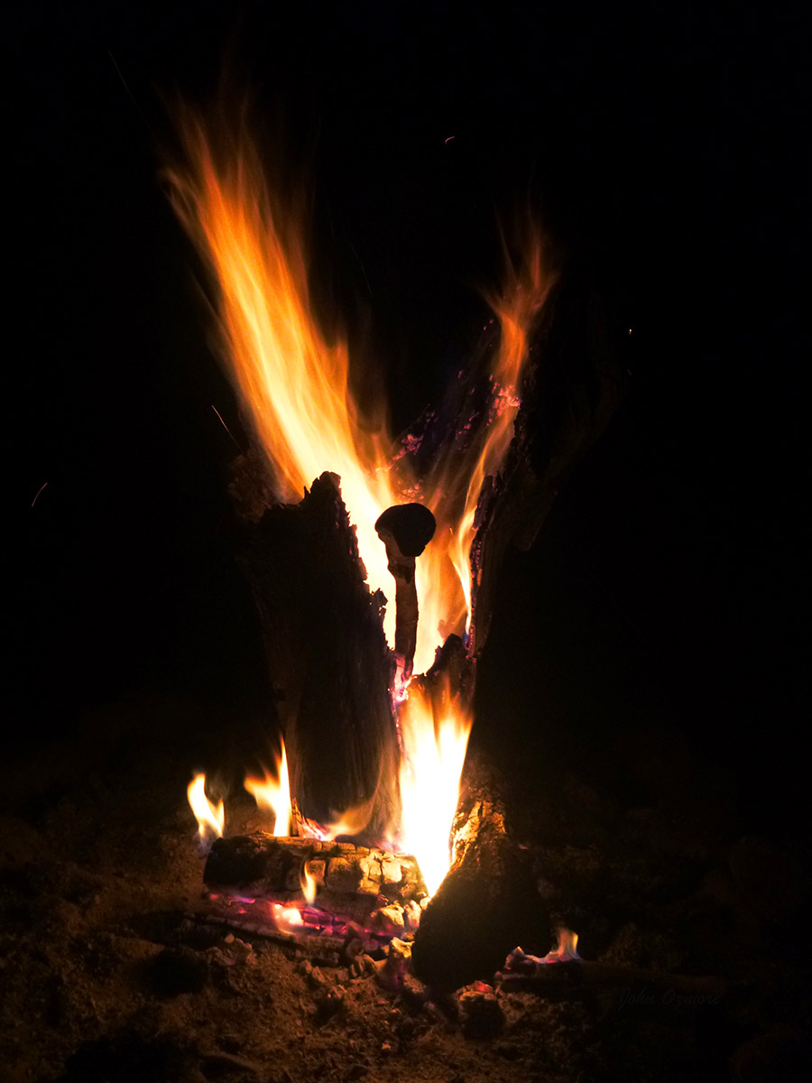 Serpent of the Flame